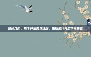 征途攻略，携手开拓游戏征程，砥砺前行开启华丽新篇
