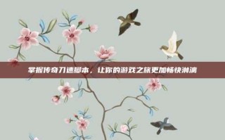 掌握传奇刀速脚本，让你的游戏之旅更加畅快淋漓