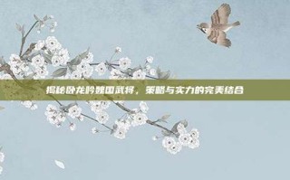 揭秘卧龙吟魏国武将，策略与实力的完美结合