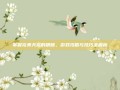 掌握完美天龙的精髓，游戏攻略与技巧全解析
