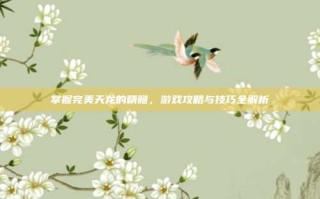 掌握完美天龙的精髓，游戏攻略与技巧全解析