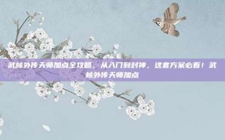 武林外传天师加点全攻略，从入门到封神，这套方案必看！武林外传天师加点