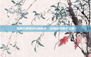 掌握九阴真经4内属性，成就游戏高手之路