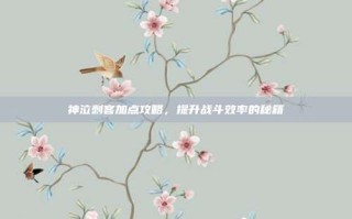 神泣刺客加点攻略，提升战斗效率的秘籍