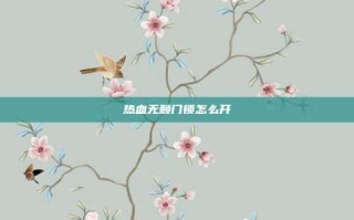 热血无赖门锁怎么开
