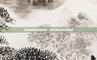 乐高加勒比海盗秘籍，探索宝藏的终极指南