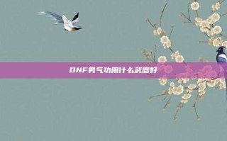 DNF男气功用什么武器好