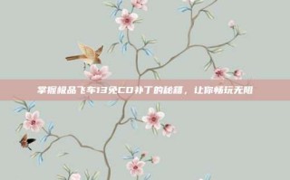 掌握极品飞车13免CD补丁的秘籍，让你畅玩无阻