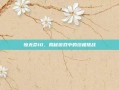 惊无命10，揭秘游戏中的终极挑战
