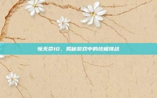 惊无命10，揭秘游戏中的终极挑战