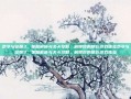 命令与征服3，策略解析与关卡攻略，解锁你的精彩游戏体验命令与征服3，策略解析与关卡攻略，解锁你的精彩游戏体验