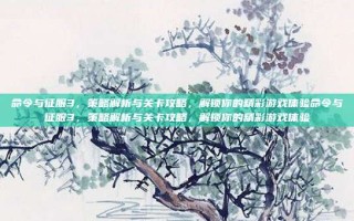 命令与征服3，策略解析与关卡攻略，解锁你的精彩游戏体验命令与征服3，策略解析与关卡攻略，解锁你的精彩游戏体验