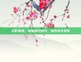 幻影疾风，掌握游戏技巧，提升战斗效率