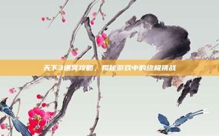 天下3通冥攻略，揭秘游戏中的终极挑战
