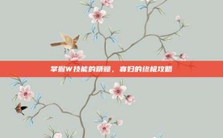 掌握W技能的精髓，寡妇的终极攻略