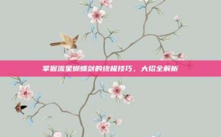 掌握流星蝴蝶剑的终极技巧，大招全解析