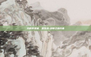 钓的不是鱼，是生活-动物之森钓鱼