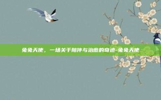 兔兔天使，一场关于陪伴与治愈的奇迹-兔兔天使