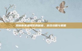 揭秘新英雄降价的秘密，游戏攻略与策略