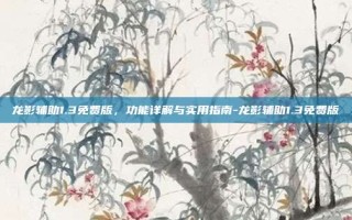 龙影辅助1.3免费版，功能详解与实用指南-龙影辅助1.3免费版