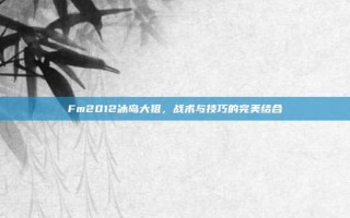 Fm2012冰岛大狙，战术与技巧的完美结合