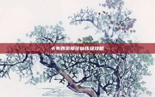卡布西游草花仙练级攻略