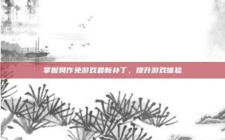 掌握臭作免游戏最新补丁，提升游戏体验
