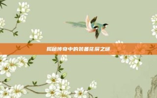 揭秘传奇中的装备花屏之谜