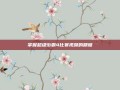 掌握超级街霸4比赛视频的精髓