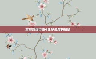 掌握超级街霸4比赛视频的精髓