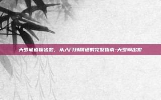 天罗诡道输出宏，从入门到精通的完整指南-天罗输出宏