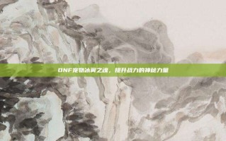 DNF宠物冰翼之魂，提升战力的神秘力量