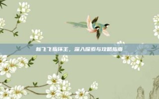 新飞飞指环王，深入探索与攻略指南