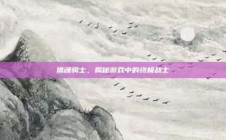 猎魂骑士，揭秘游戏中的终极战士