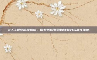 天下3职业深度解析，探索各职业的独特魅力与战斗策略