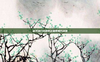 剑灵洪门武器的正确使用方法是
