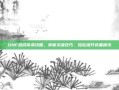 DNF合成传承攻略，掌握关键技巧，轻松提升装备属性
