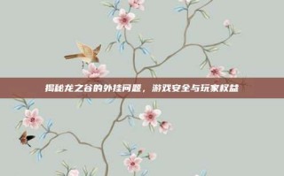 揭秘龙之谷的外挂问题，游戏安全与玩家权益