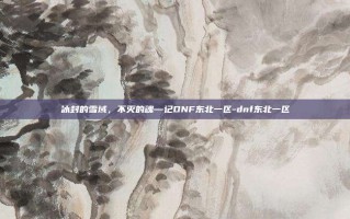 冰封的雪域，不灭的魂—记DNF东北一区-dnf东北一区
