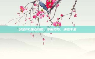 剑圣PK加点攻略，掌握技巧，决胜千里