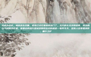 凌晨五点半，城市还在沉睡，老张已经扛着铁锹出门了。北方的冬天冷得彻骨，呵出的白气瞬间结成霜。他要去的地方是城郊那段出名的坡道—每年冬天，总有人在那里滑倒。善行之铲