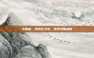 天鹰戒，性价比之选，游戏攻略指南