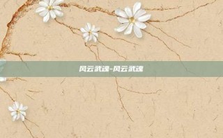 风云武魂-风云武魂