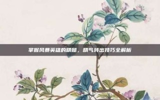 掌握风暴英雄的精髓，精气转出技巧全解析