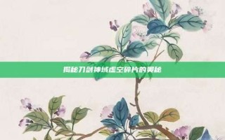 揭秘刀剑神域虚空碎片的奥秘