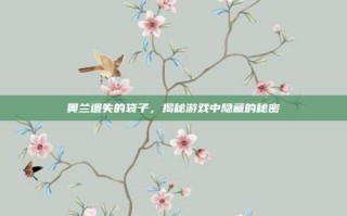 奥兰遗失的袋子，揭秘游戏中隐藏的秘密