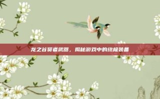龙之谷贤者武器，揭秘游戏中的终极装备
