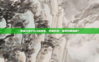 武林大会2013总决赛，终极对决，谁将问鼎巅峰？