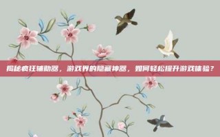 揭秘疯狂辅助器，游戏界的隐藏神器，如何轻松提升游戏体验？