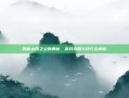 揭秘太阳之尘的奥秘，游戏攻略与技巧全解析